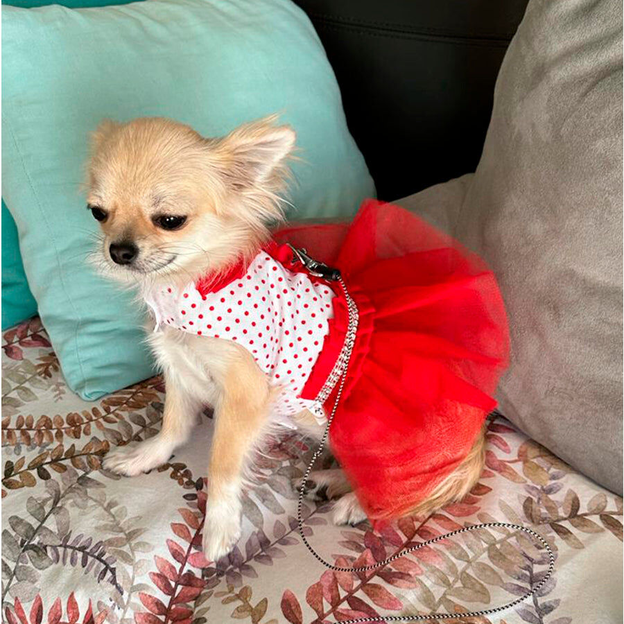 Ideal Pets, Vestido para perros, Sweet Cherry, , large Imagen numero 2