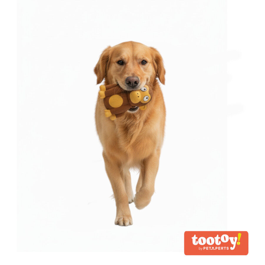 Tootoy! Chimpanc&eacute; Mordedor con Sonido para perros, , large Imagen numero 8
