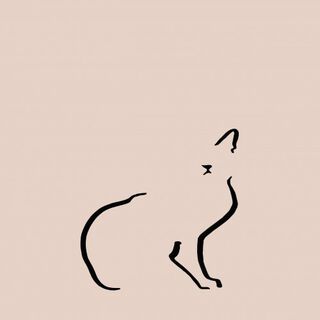 Ilustración de gato doméstico sin marco color Rosa