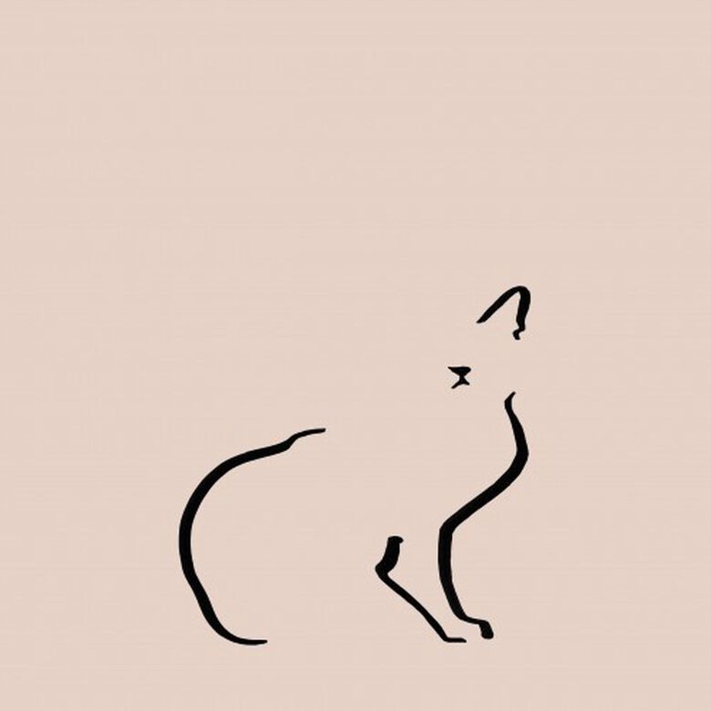 Ilustración de gato doméstico sin marco color Rosa