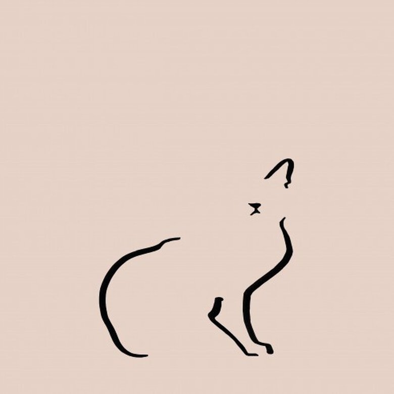 Ilustración de gato doméstico sin marco color Rosa, , large image number null