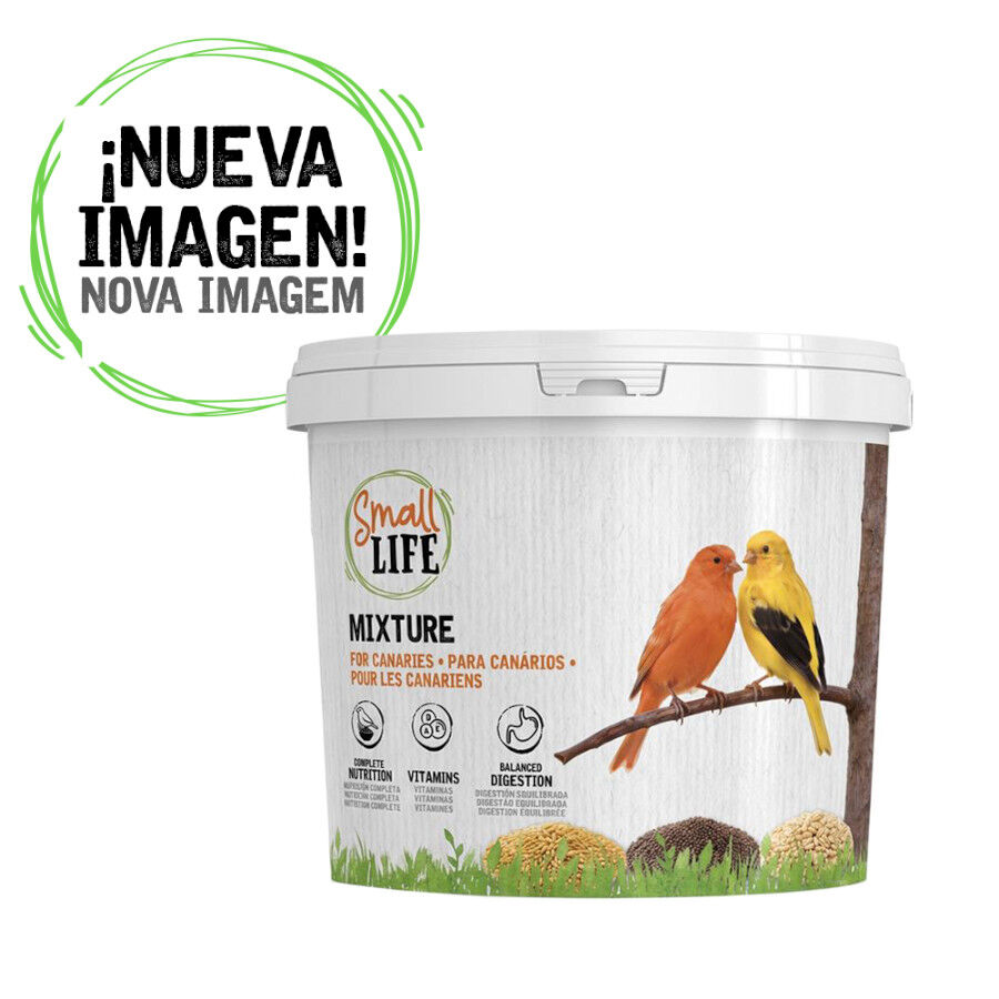 3.7 kg Small Life Mixtura Cubos para canarios, , large Imagen numero 1