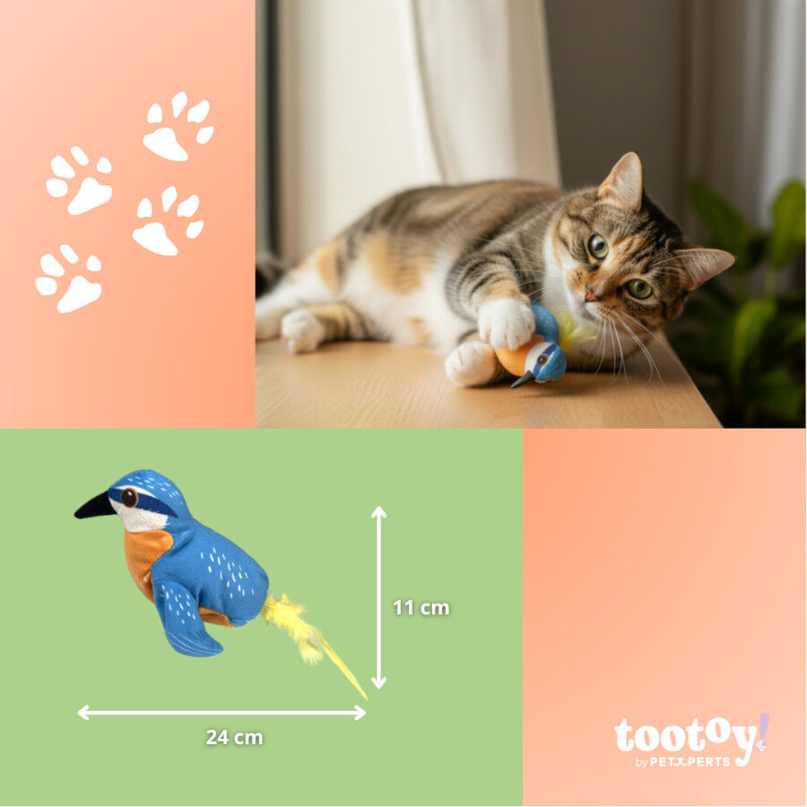 Tootoy! Peluche Interactivo de P&aacute;jaro para gatos, , large Imagen numero 4