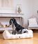 Pet and Co Cama Kingston Flowers Taupe para Perros, , large indicador imagen numero 4