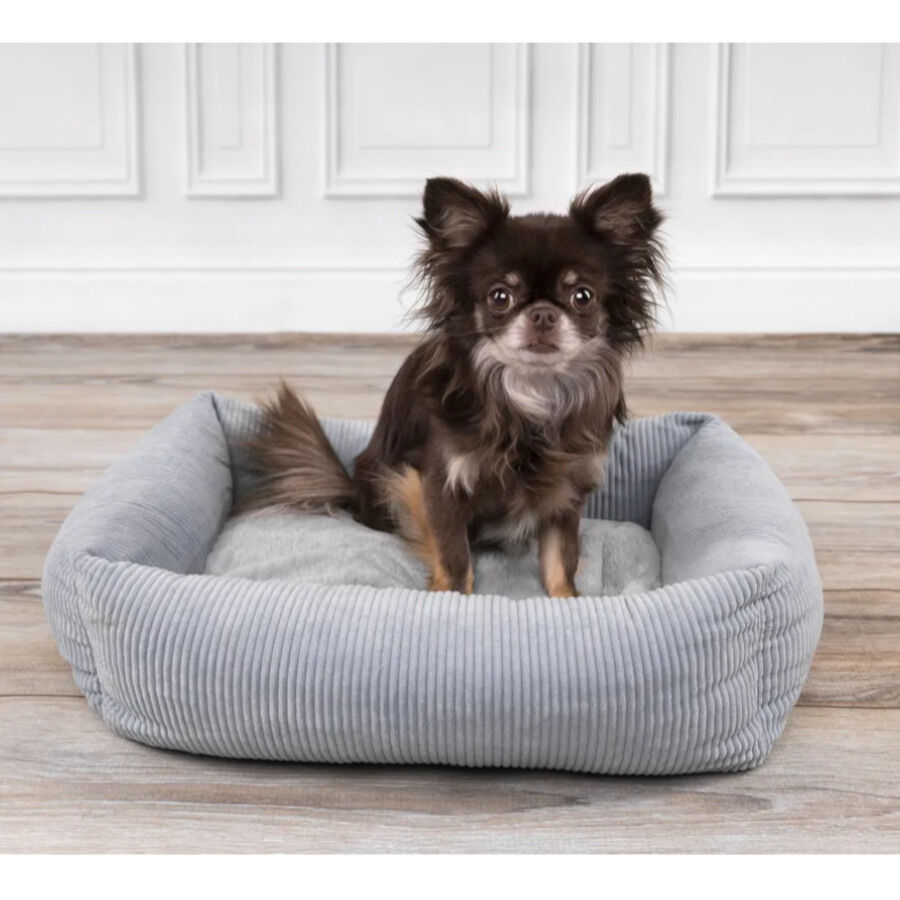 Flamingo Colette Rectángulo Azul cama cuna para perros thumbnail