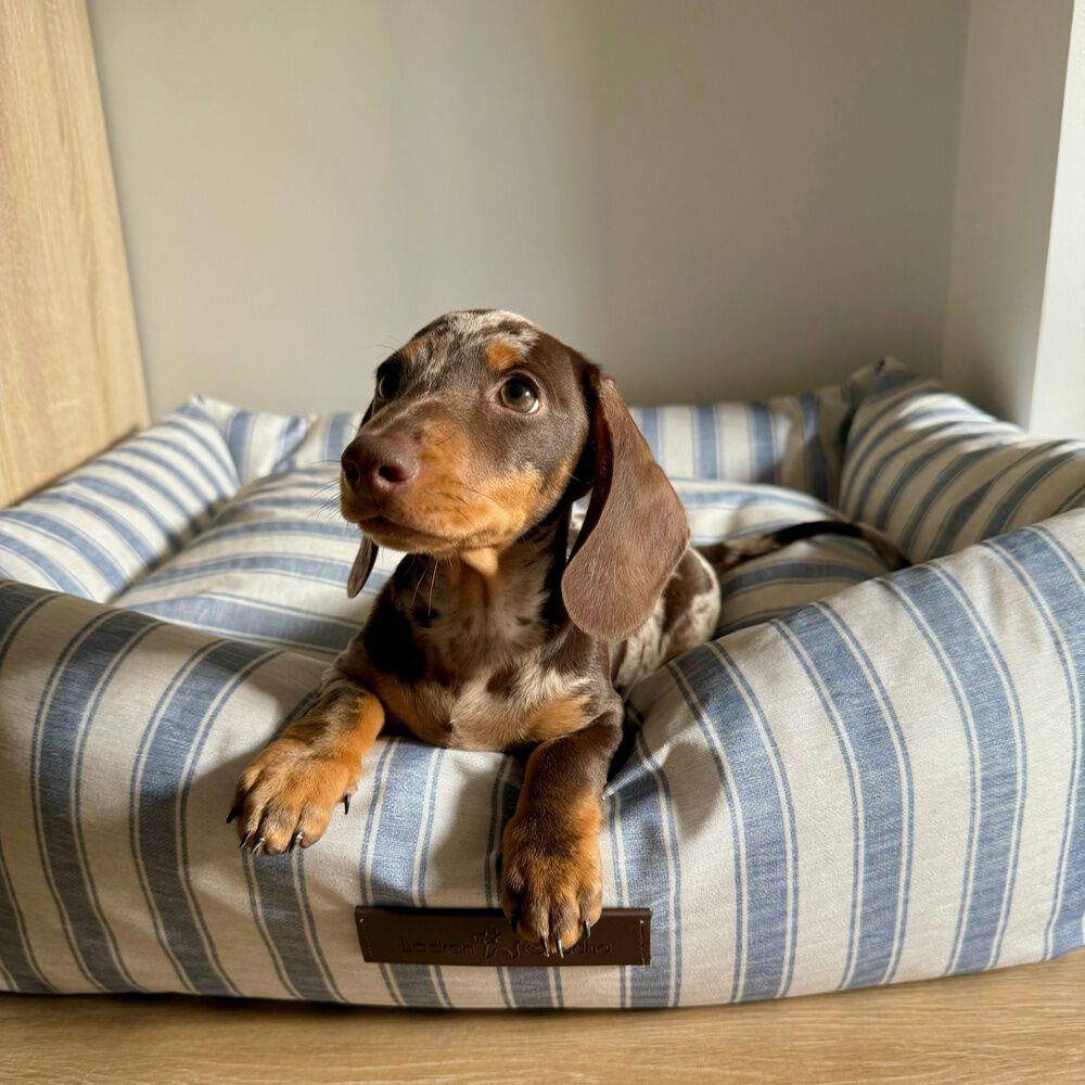 CAMA IMPERMEABLE CRETA - GRANDE, , large Imagen numero 3