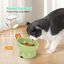 Nobleza - Comedero Cerámica para Gatos, Comedero para Gatos Elevado con Inclinación de 15°, Reducir la Presión del Cuello y Prevenir los Vómitos, Comedero Gato para Gatos y Cachorros, Verde, , large indicador imagen numero 3