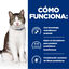 3 kg Hill’s Prescription Diet Gastrointestinal Biome Stress para gatos, , large indicador imagen numero 3