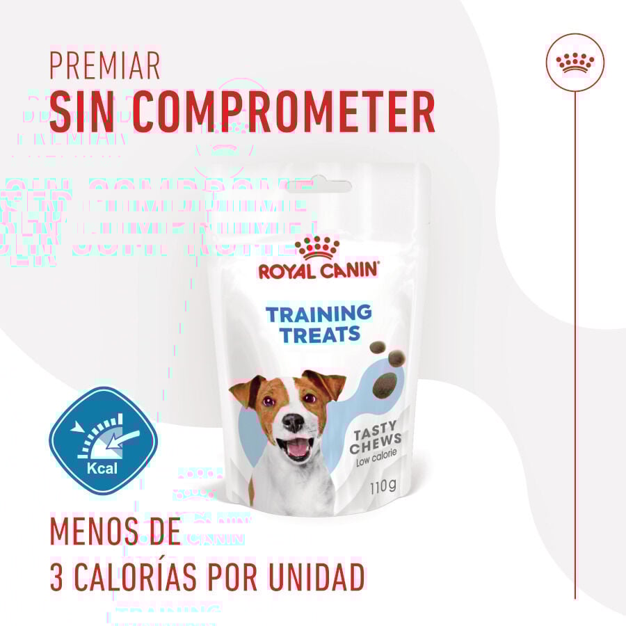 Royal Canin Training Treats Snacks para perros thumbnail