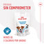 Royal Canin Training Treats Snaks para perros, , large indicador imagen numero 4