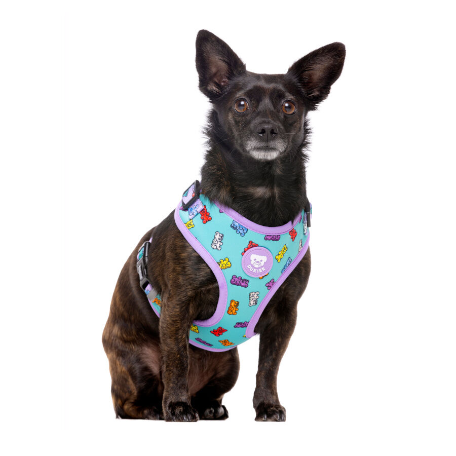 Dukier Gummy Bears Arn&eacute;s Ajustable para perros, , large Imagen numero 2