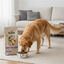 12 Dibaq Sense Low Grain Adult Maxi Pavo Pienso para perros, , large indicador imagen numero 5