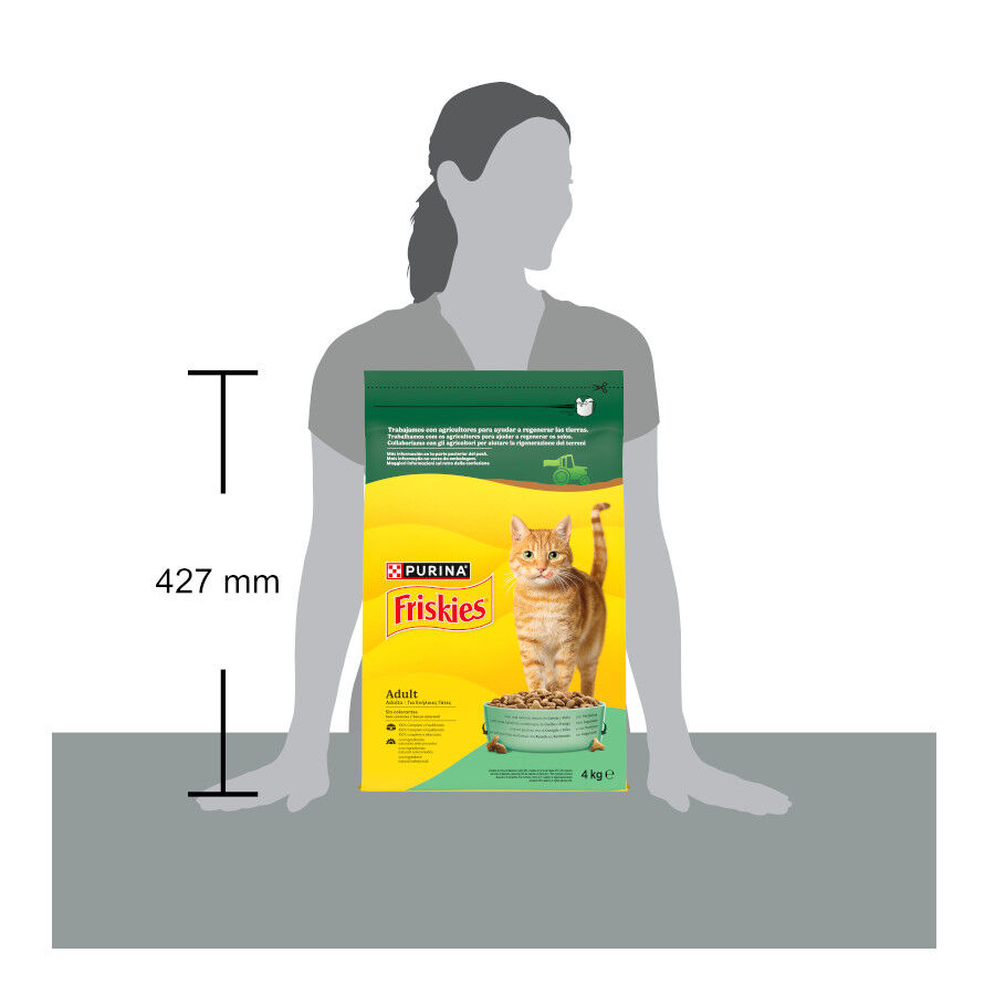 4 kg Friskies Conejo y Pollo pienso para gatos, , large Imagen numero 7