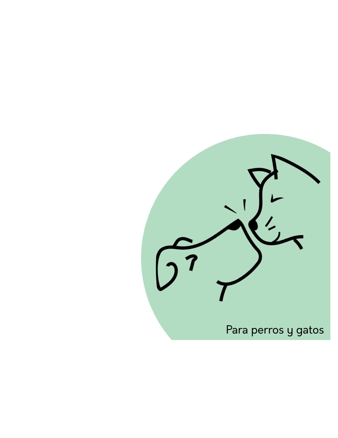 Oreja de conejo sin pelo, , large Imagen numero 4