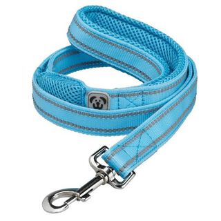 Correa de alta visibilidad para perros color Azul agua