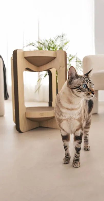 Althea Living - Rascador torre para gatos, cartón corrugado, 2 alturas, reversible thumbnail