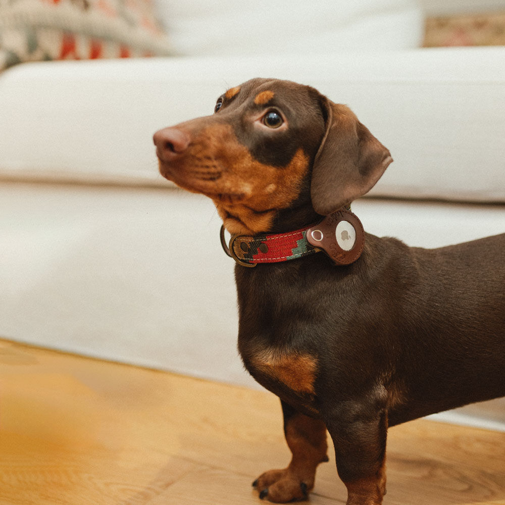 FUNDA PARA LOCALIZADOR (AIRTAG), , large Imagen numero 2