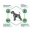 12 kg Advance Dog Leismaniasis Urinary Low Purine pienso para perros, , large indicador imagen numero 3