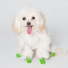 Botas de caucho natural Pawz para perro color Verde, , large image number null