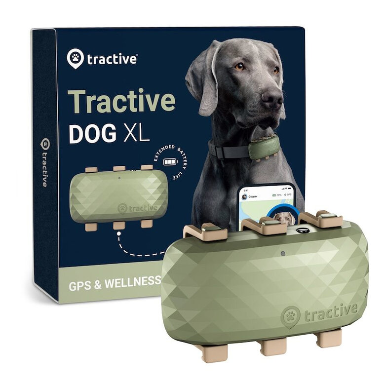 Comprar Collar Gps rastreador de mascotas para perros Tractive Gps  seguimiento de animales en tiempo Real IP67 localizador de perros  impermeable para perros medianos y grandes