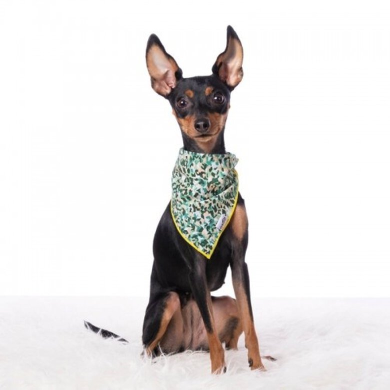 Bandana para perros estampado Camuflaje color Verde, , large image number null