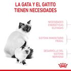 Royal Canin Mother & Baby pienso para gatos, , large image number null