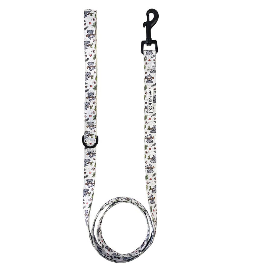 Correa Lazy Koala, , large Imagen numero 1