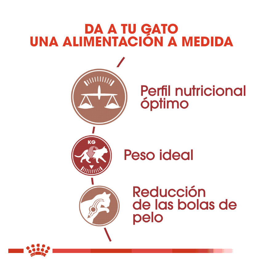 Royal Canin Regular Fit 32 pienso para gatos thumbnail