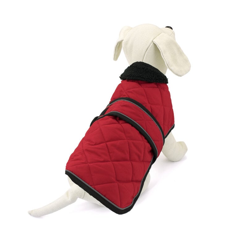 Outech Abrigo Rojo para perros Teckel