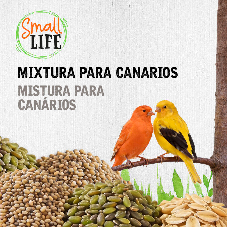 3.7 kg Small Life Mixtura Cubos para canarios, , large Imagen numero 3