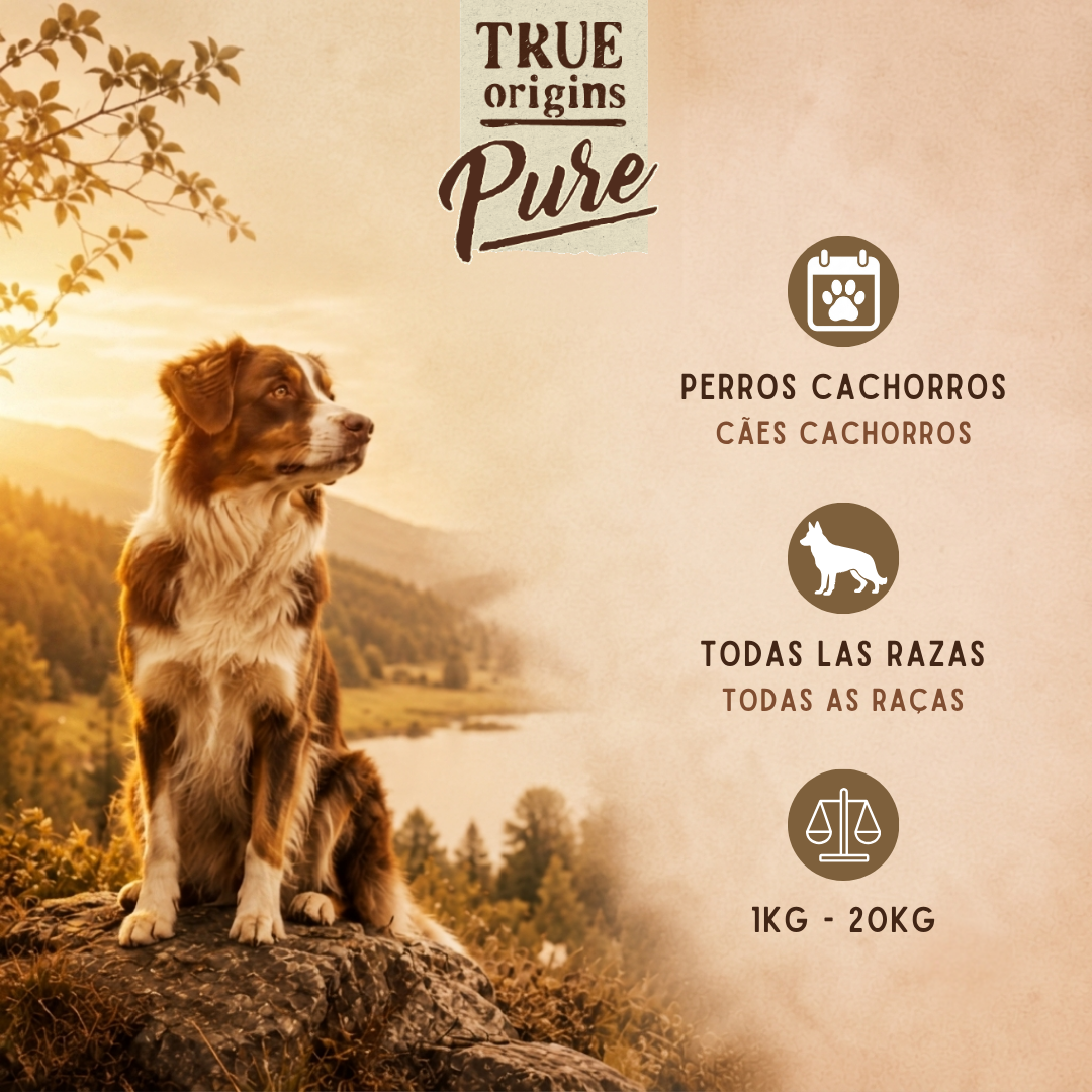 3 kg True Origins Pure Puppy Salm&oacute;n pienso para perros, , large Imagen numero 4