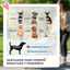 PawHut Cochecito para Perros Plegable Carrito para Perros Pequeños con Ruedas Universales Cesta de Almacenaje Correas de Seguridad y Ventanas 67x45x96 cm Azul Oscuro, , large indicador imagen numero 4