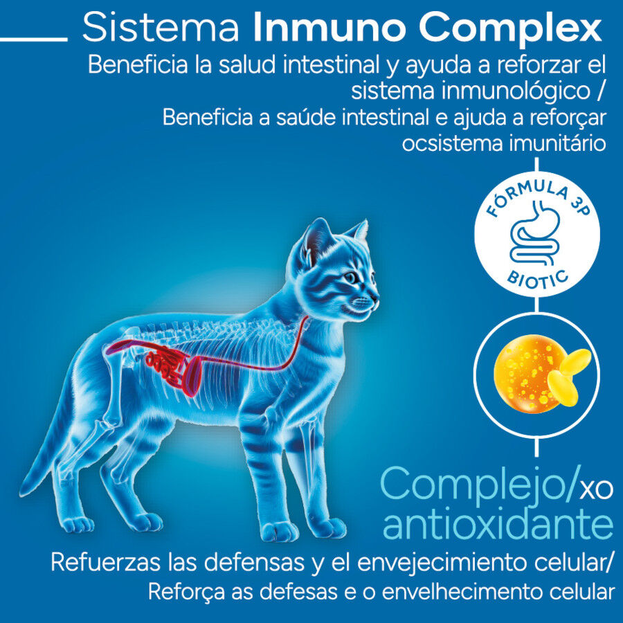 Criadores Cient&iacute;fico Kitten pollo pienso para gatitos, , large Imagen numero 3