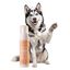 Champ&uacute; Seco en Espuma para perros &middot; Sin agua y sin aclarado &middot; Limpia y refresca al instante &middot; Ideal playa, piscina y paseos &middot; Aloe Vera &middot; Hecho en Espa&ntilde;a, , large indicador imagen numero 1