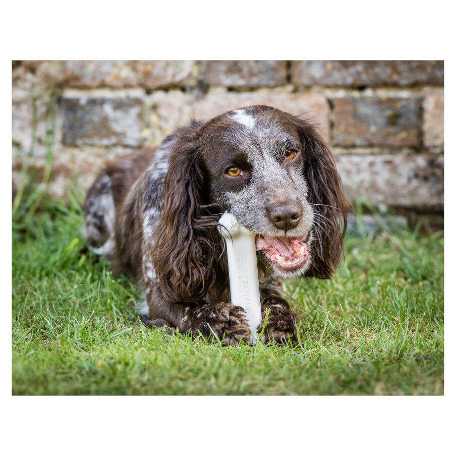 Nylabone Extreme Chew Pollo Hueso Mordedor para perros thumbnail