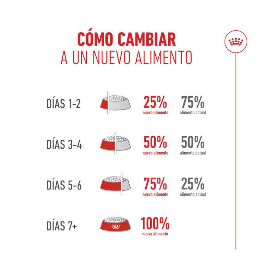 4 kg Royal Canin Ageing 11+ Sterilised pienso para gatos, , large Imagen numero 8