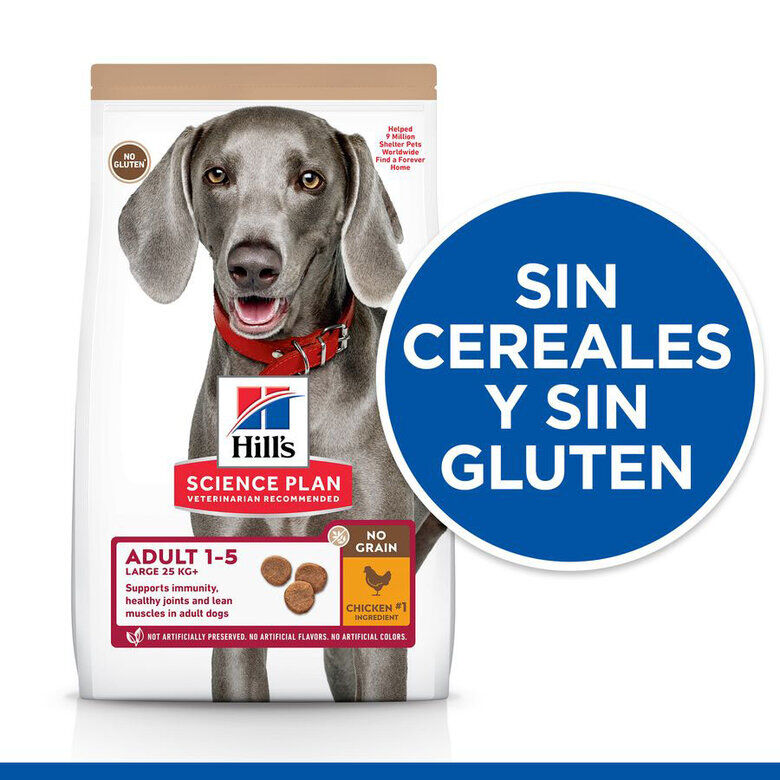 14 kg Hill's Science Plan Adult Large Pollo pienso para perros, , large Imagen numero 5