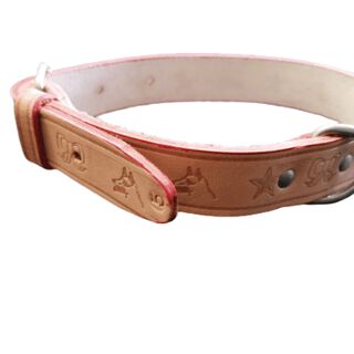 Seleiro Anta Collar Cuero para Perros