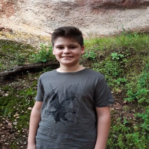 Camiseta de tela Animal Totem de águila color gris thumbnail