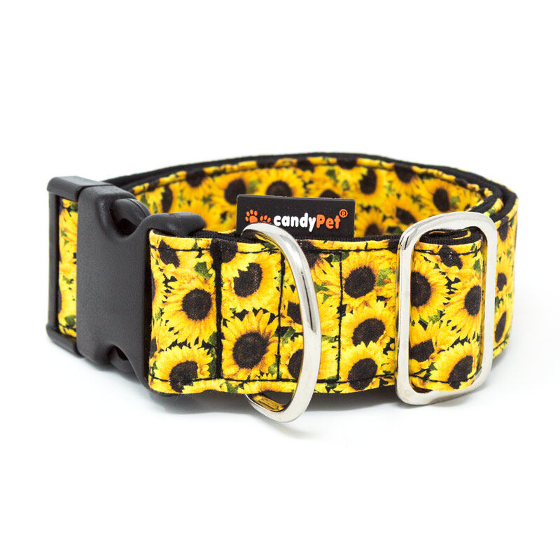 candyPet&reg; Collar Click para Perros - Modelo Amarillo, , large Imagen numero 1