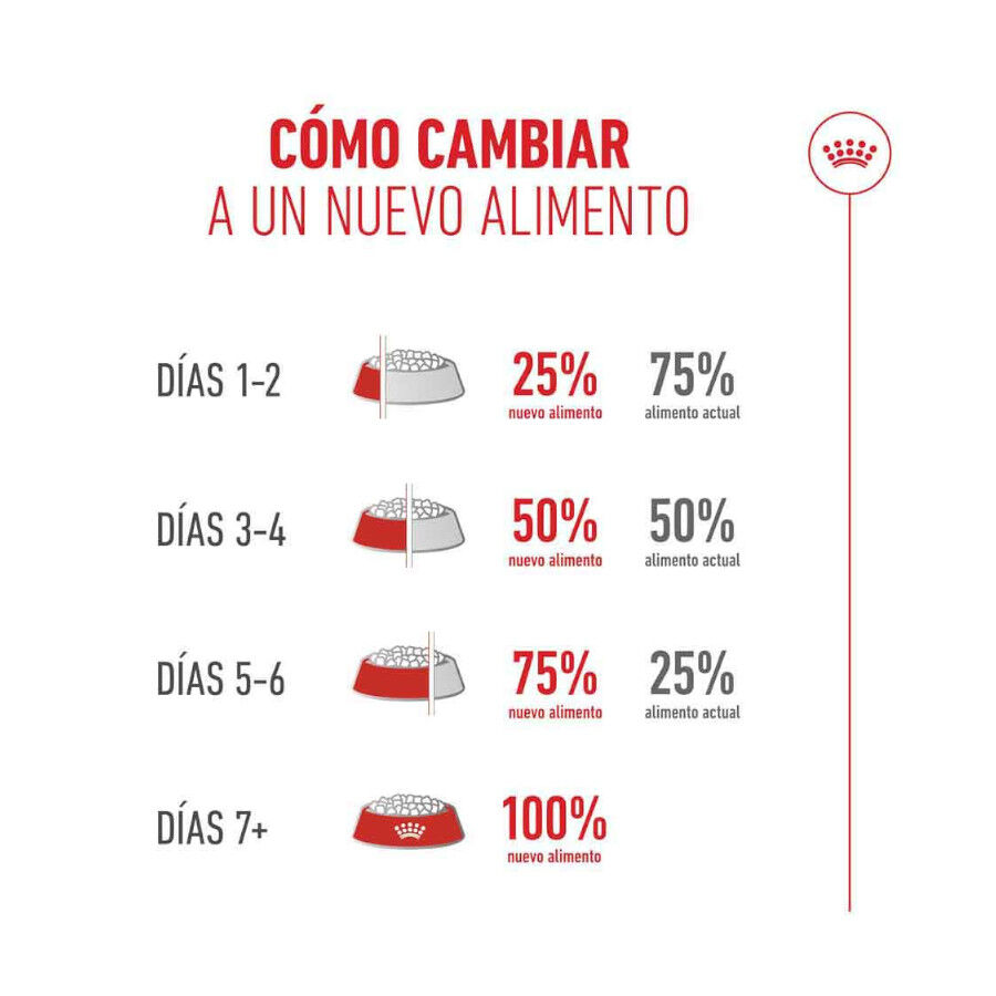 4 kg Royal Canin Ageing 11+ pienso para gatos, , large Imagen numero 8