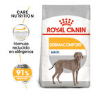 Royal Canin Dermacomfort Maxi pienso para perros, , large image number null