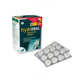 Pharmadiet Hyaloral Condoprotector para perros de razas grandes y gigantes