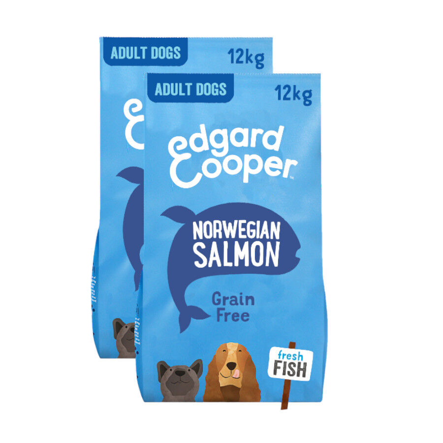 Edgard & Cooper Adult Salmón pienso para perros