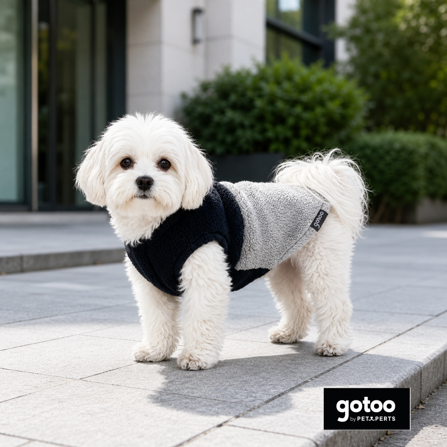 Gotoo Chaqueta Azul y Gris para perros, , large Imagen numero 1