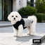 Gotoo Chaqueta Azul y Gris para perros, , large indicador imagen numero 1