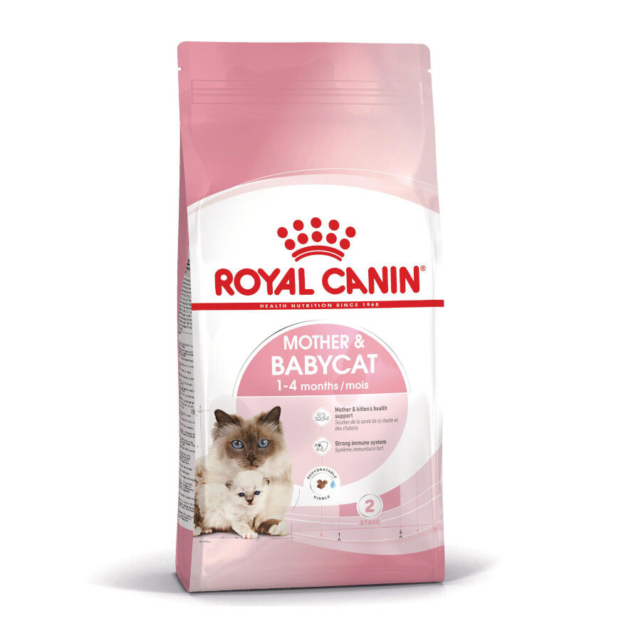 Royal Canin Mother &amp; Babycat pienso para gatos thumbnail