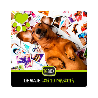 Tgbox De viaje con tu mascota