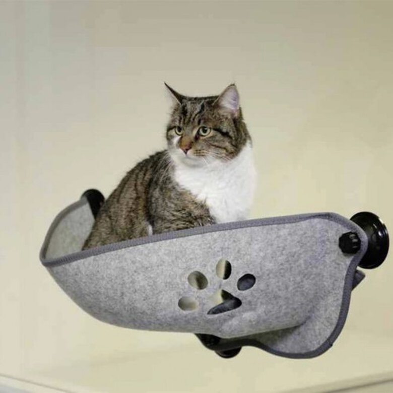Cama Filzino de ventana para gatos color Gris, , large image number null