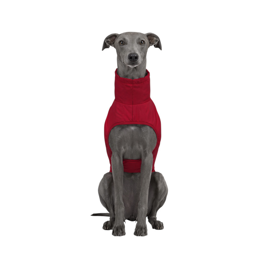 Gotoo Chaqueta Impermeable Rojo para galgos, , large Imagen numero 7
